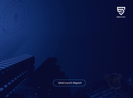 IP Infringement Market Report 2024